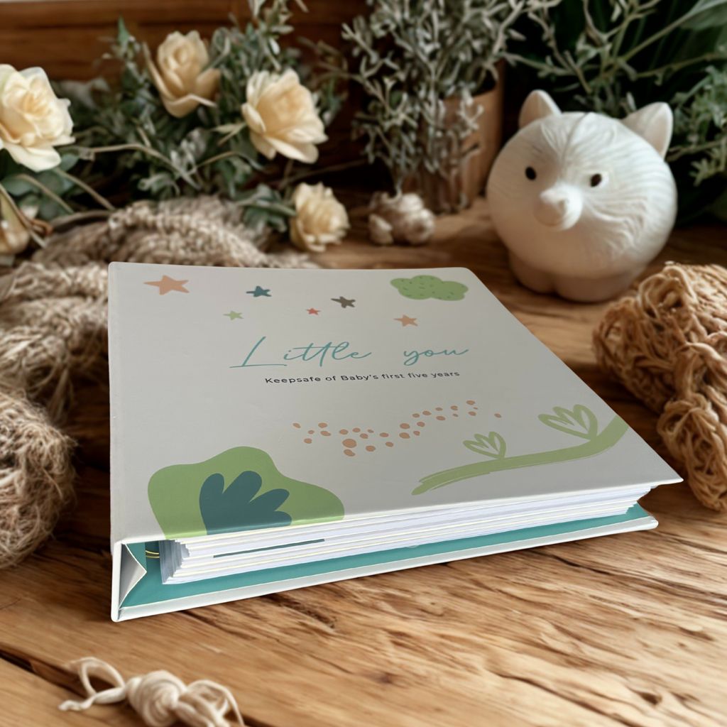 Little You .For Busy Moms (5 Min A Week Baby Memory Book, 120 Pages,  Pregnancy to Age 5, Magnetic Box, Letter to Open at 21)