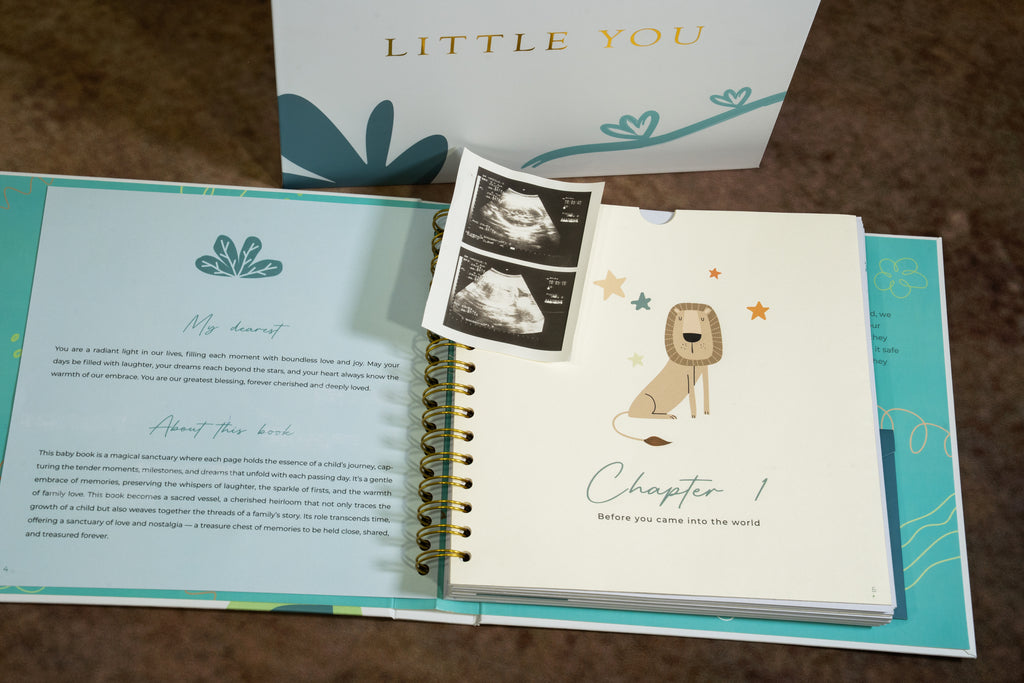 Little You .For Busy Moms (5 Min A Week Baby Memory Book, 120 Pages,  Pregnancy to Age 5, Magnetic Box, Letter to Open at 21)